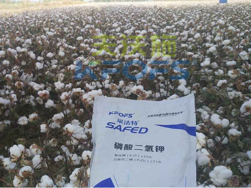 水溶肥哪家好？楊老板說他只信賴采法特！