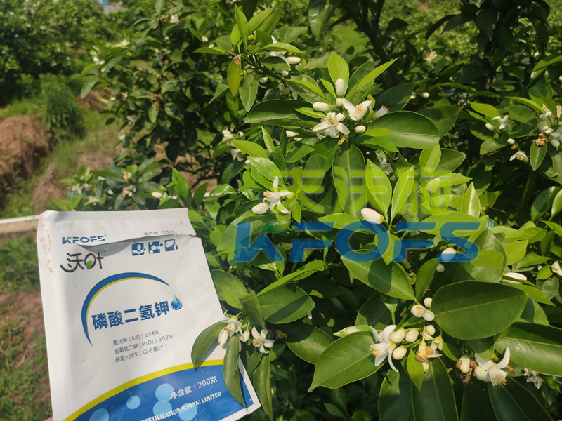 磷酸二氫鉀多少錢一噸？有什么區(qū)別