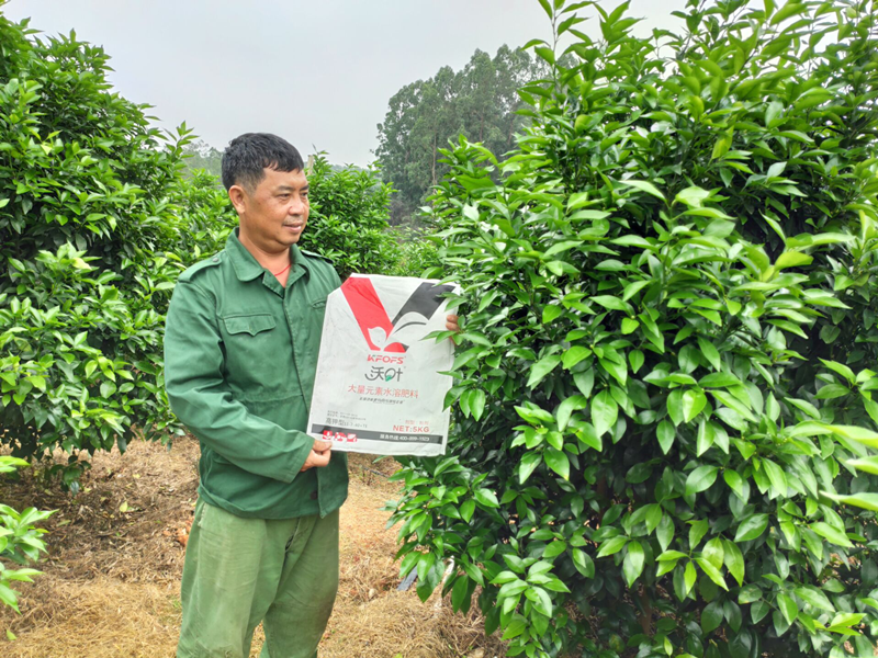 水溶肥品牌的選擇，種植戶有發(fā)言權