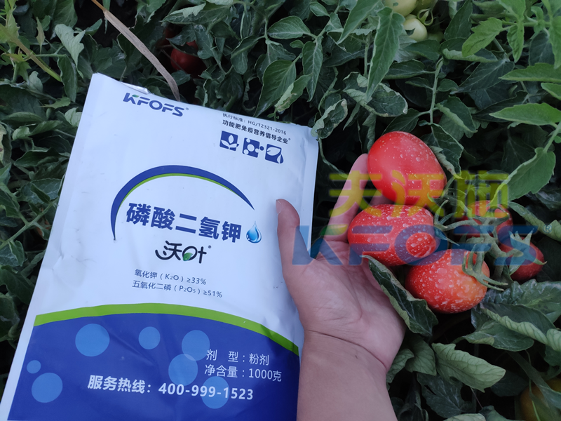 磷酸二氫鉀哪個(gè)牌子的可以選？你用對了嗎？