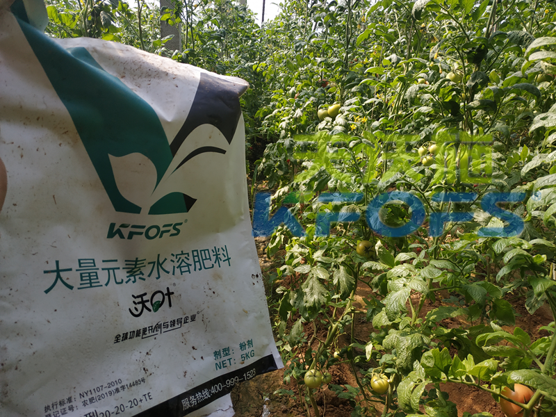 沃葉水溶肥怎么樣？為什么這么多人用？