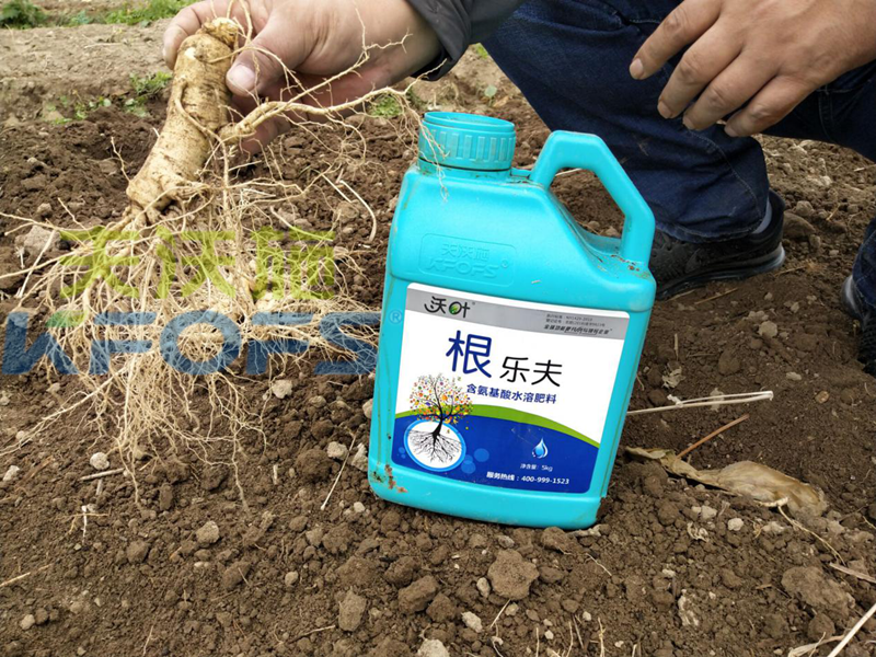 沃葉水溶肥怎么樣？聽聽種植戶的回答