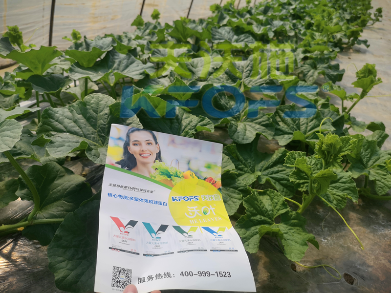 進(jìn)口水溶肥和國產(chǎn)水溶肥，二者如何選擇好