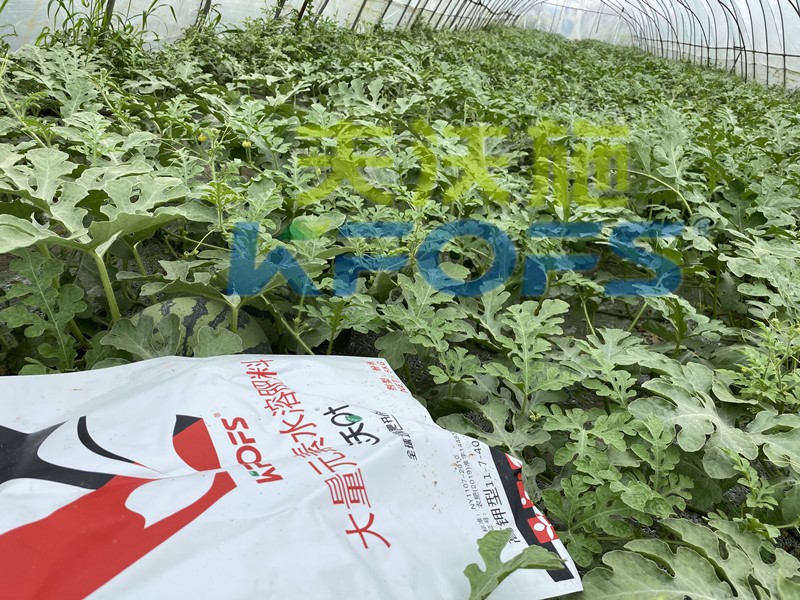沃葉水溶肥怎么樣？這么多種植戶選擇