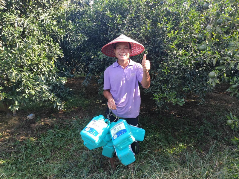 柑橘黃化的原因及解決方法-根樂(lè)夫.png