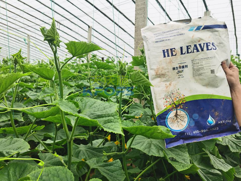 微生物菌劑哪個牌子好？莊總只認(rèn)可這款！