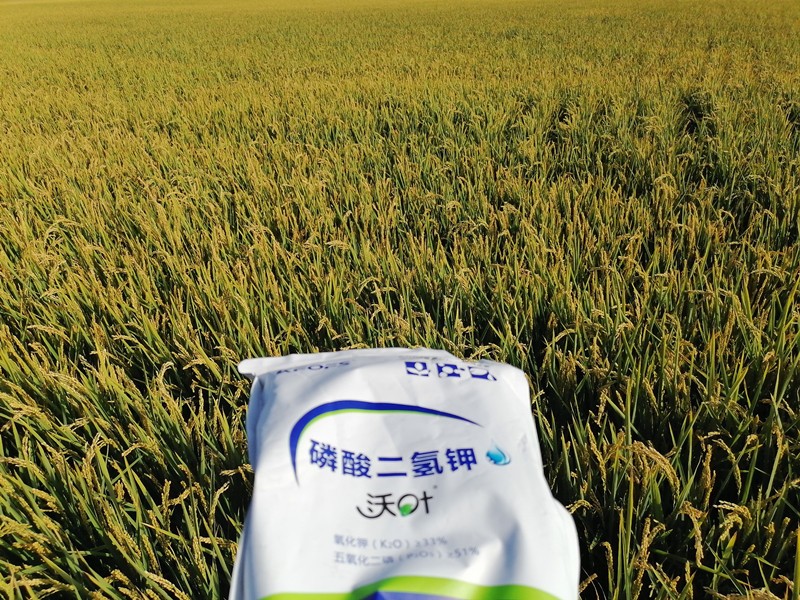 三分鐘看懂磷酸二氫鉀哪個(gè)品牌好！