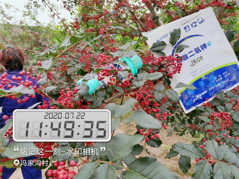 水溶肥哪家好?看完你就明白了