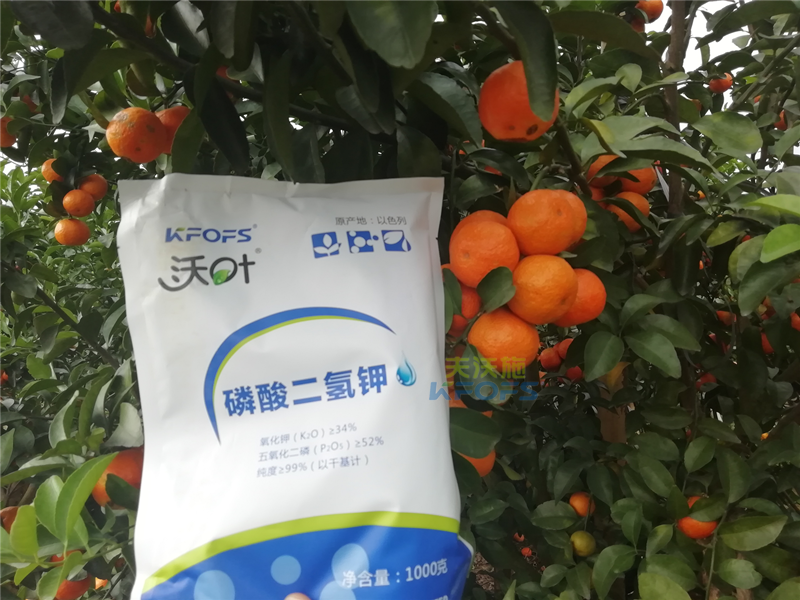 磷酸二氫鉀施用事半功倍，果樹(shù)補(bǔ)鉀應(yīng)怎么選？