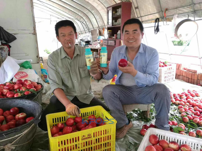 葉面肥什么時候打效果好？記住這幾個節(jié)點！