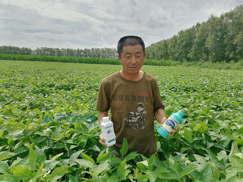 除草劑藥害，為什么安法戈可解？