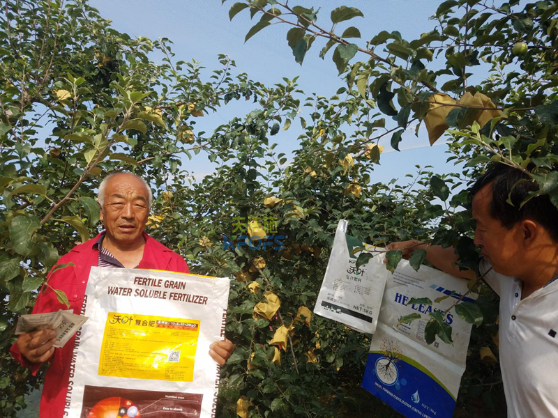 蘋果樹施什么肥好？