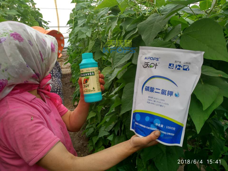 微生物菌肥的作用？