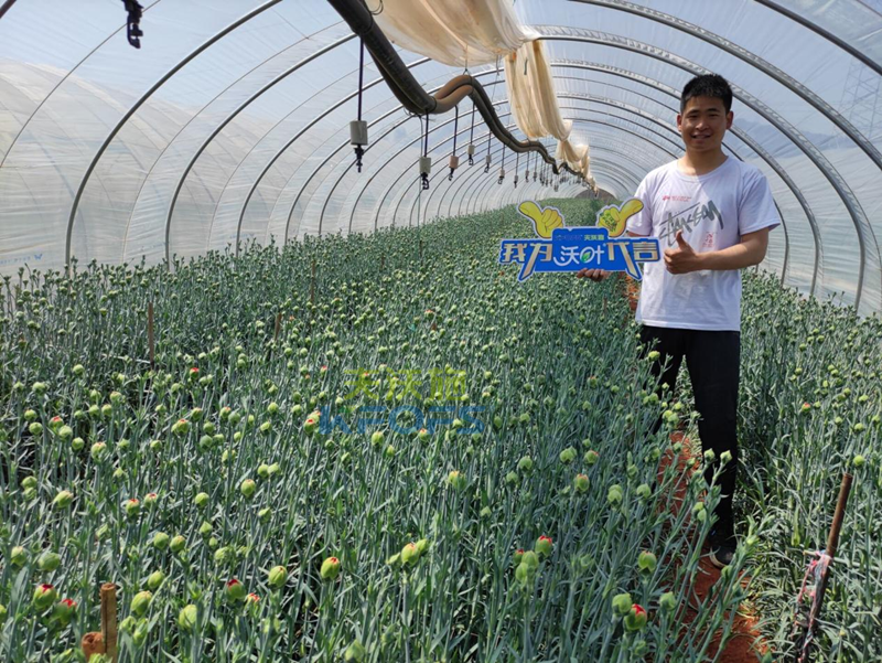 進(jìn)口水溶肥怎么選？王總的答案！