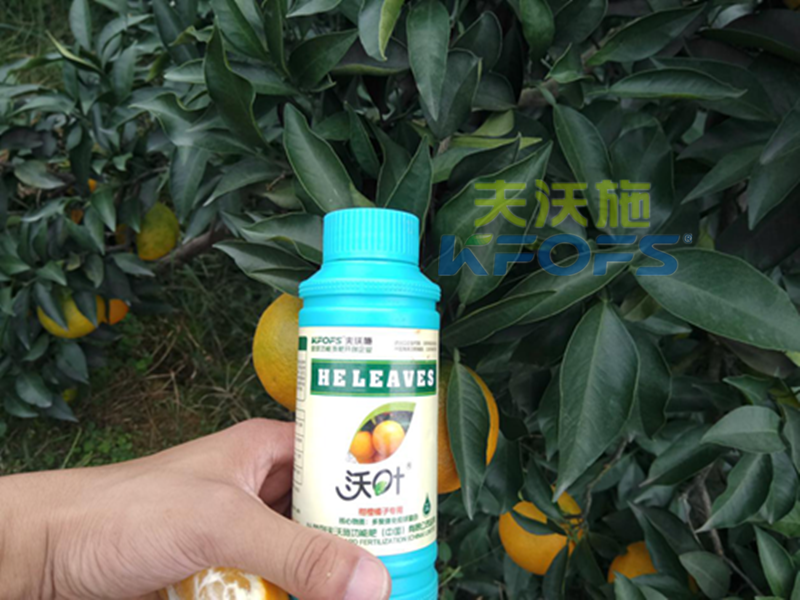 葉面肥能預(yù)防作物早衰嗎？1.png