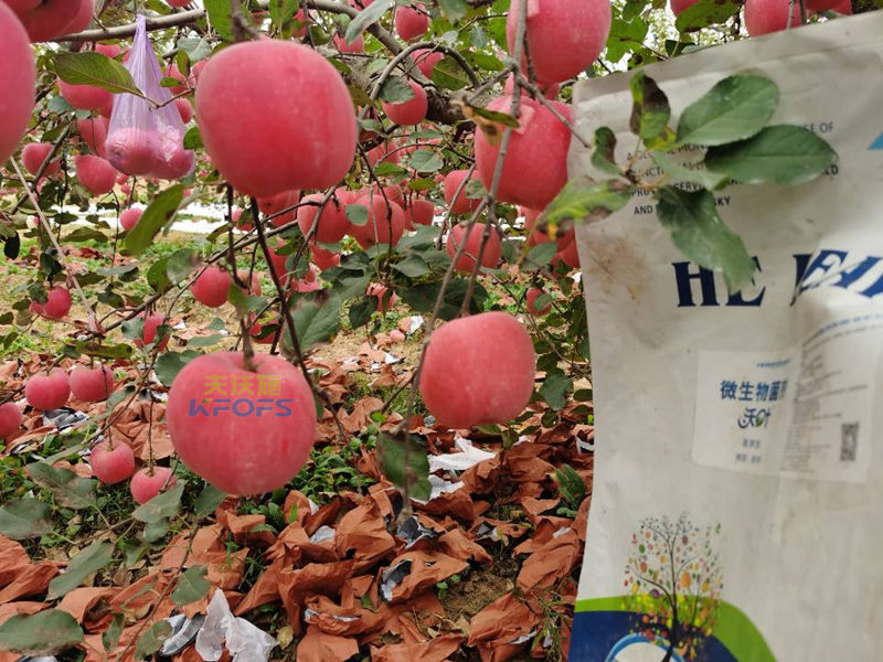 水溶肥果樹用效果好不好？