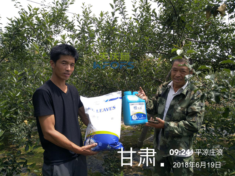 蘋果怎么施肥？