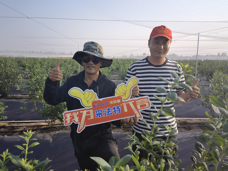 藍莓用什么水溶肥長得好？