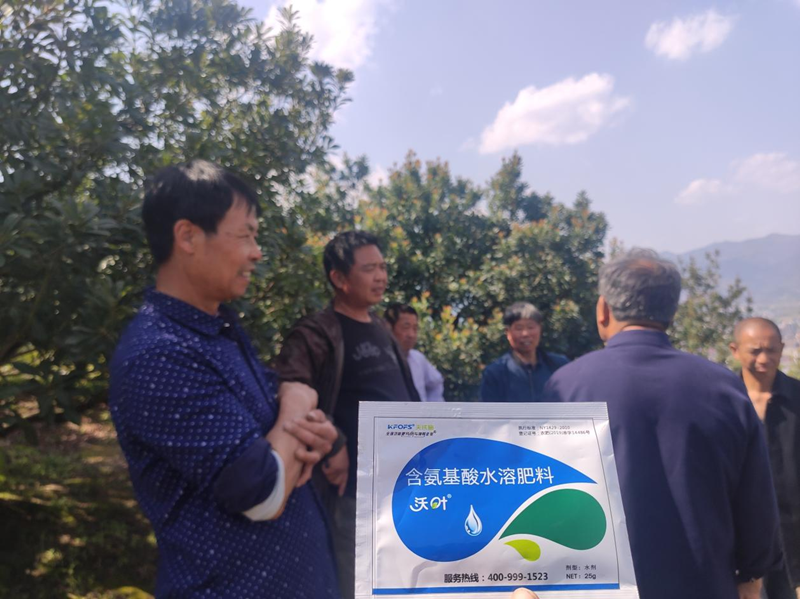 楊梅噴什么水溶肥好？