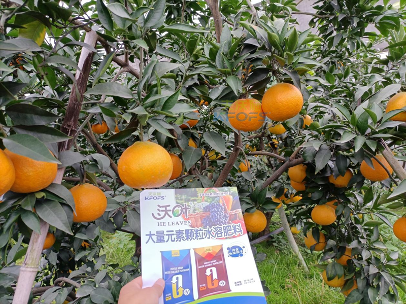 水溶肥可以直接撒施嗎？