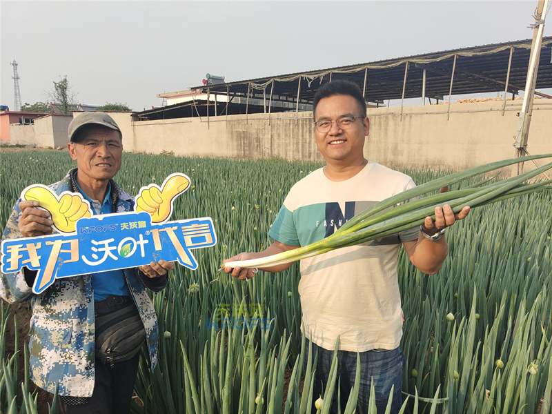 進口水溶肥以色列夫沃施，讓更多人受益！