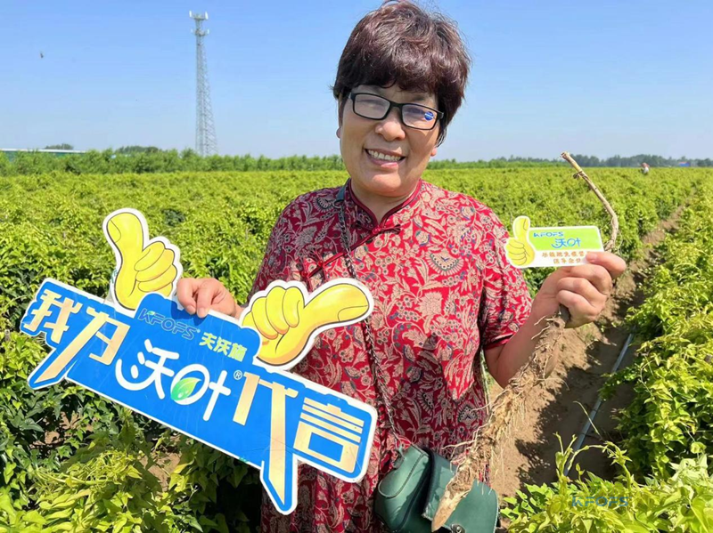 改良土壤肥料有哪些？夫沃施功能肥