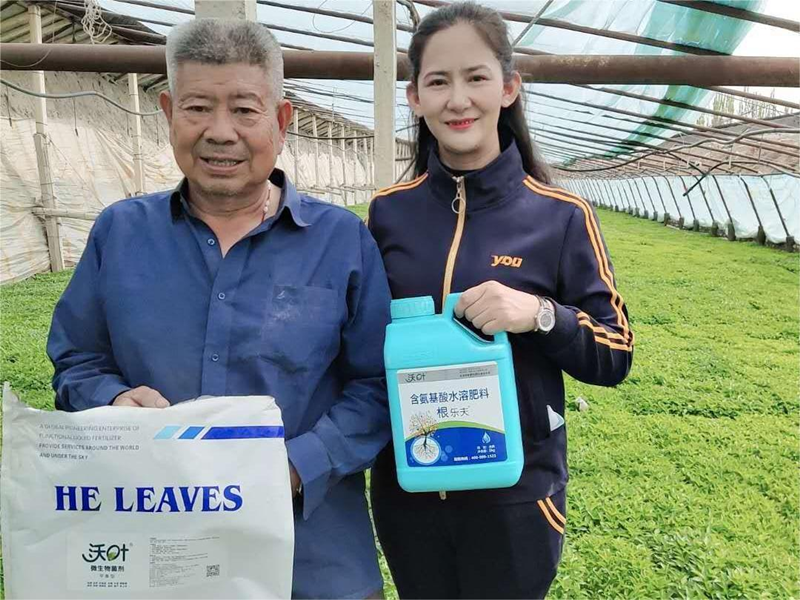 辣椒苗期施肥管理，掌握這項技術(shù)