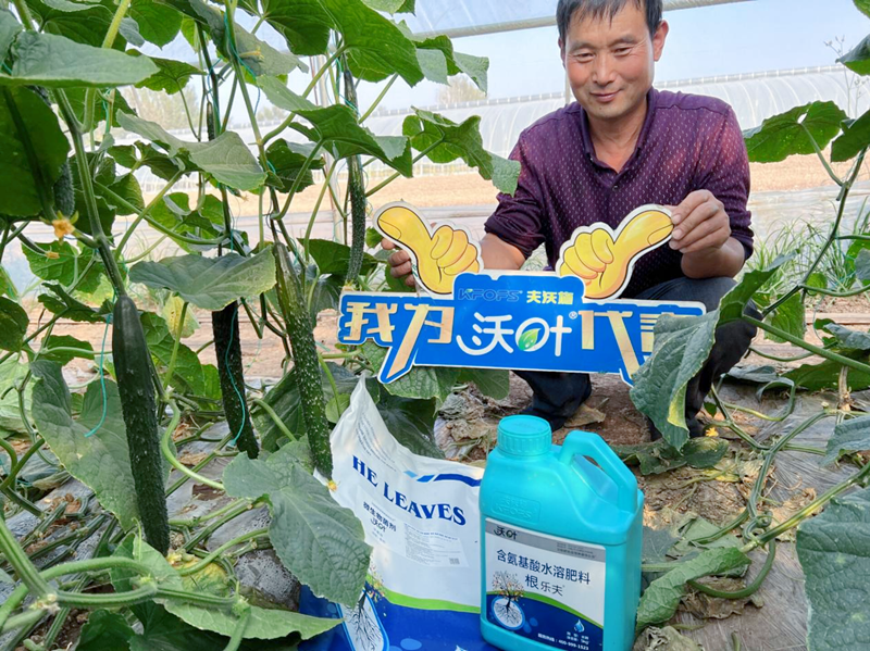 微生物菌劑越來越受歡迎的原因有哪些？
