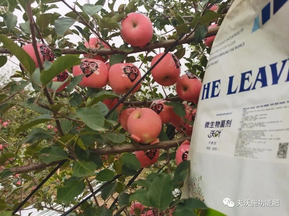 什么肥料能讓土壤變松？