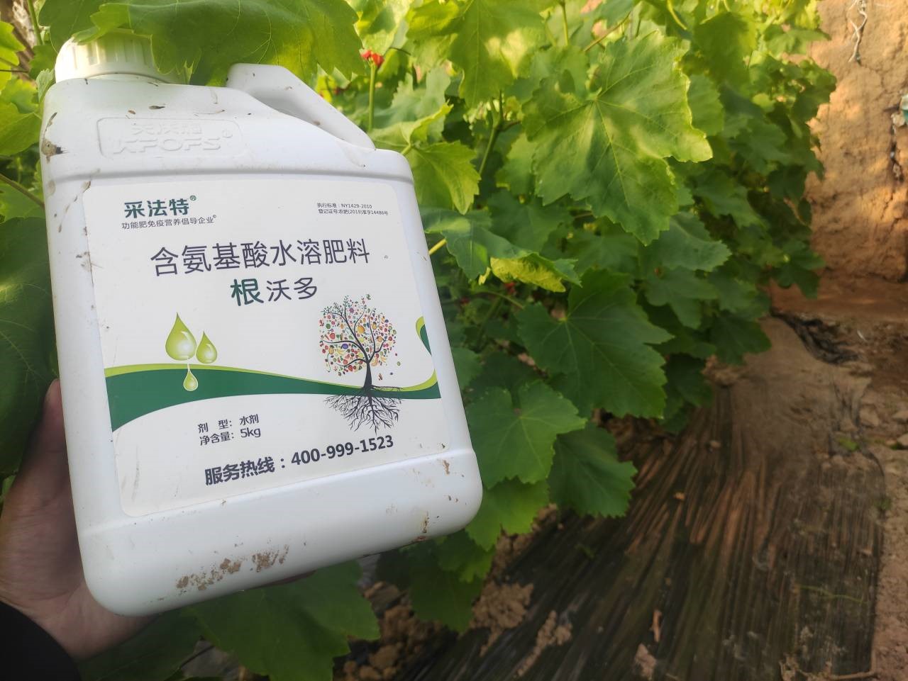 水溶肥選哪家？李總認可采法特