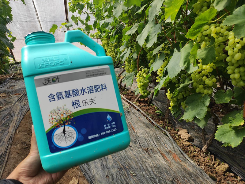 水溶肥選擇，要注意什么?