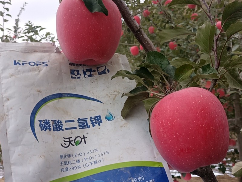 蘋果樹(shù)施什么肥料好-沃葉磷酸二氫鉀 (2).jpg