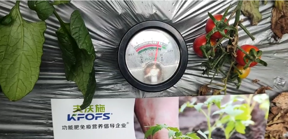 微生物菌劑，為什么被越來越多的人選擇？