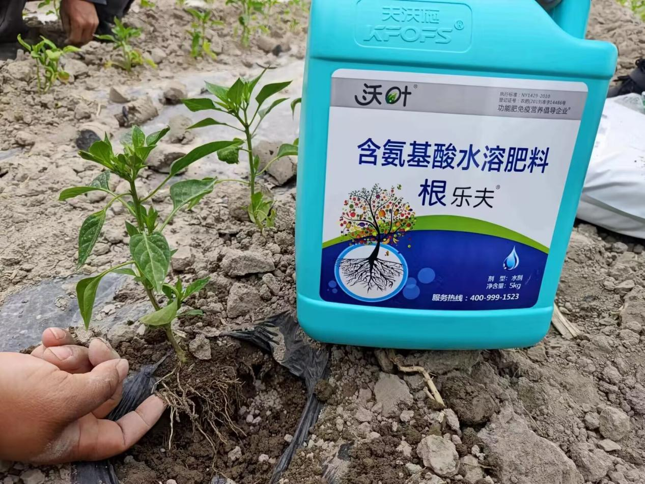 什么生根劑最好？看評價很高的這款