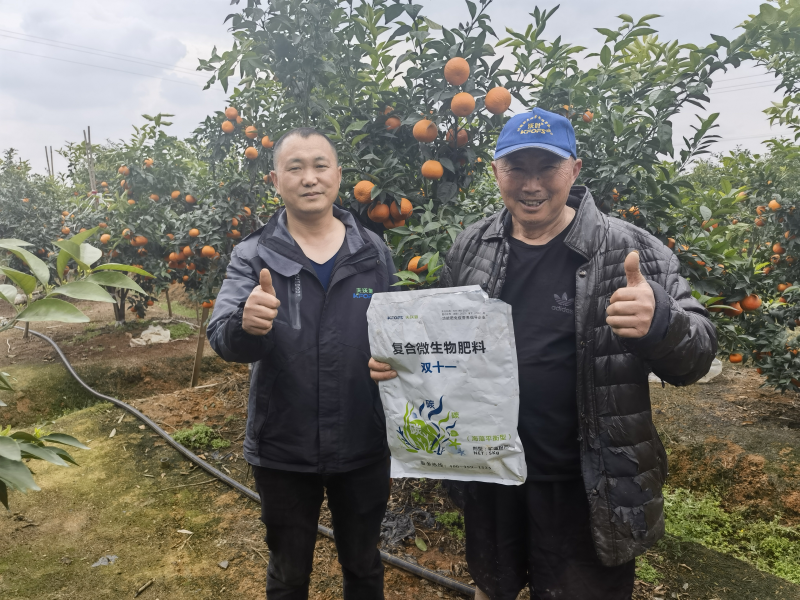 柑橘樹用什么肥料最佳？四川何大爺案例