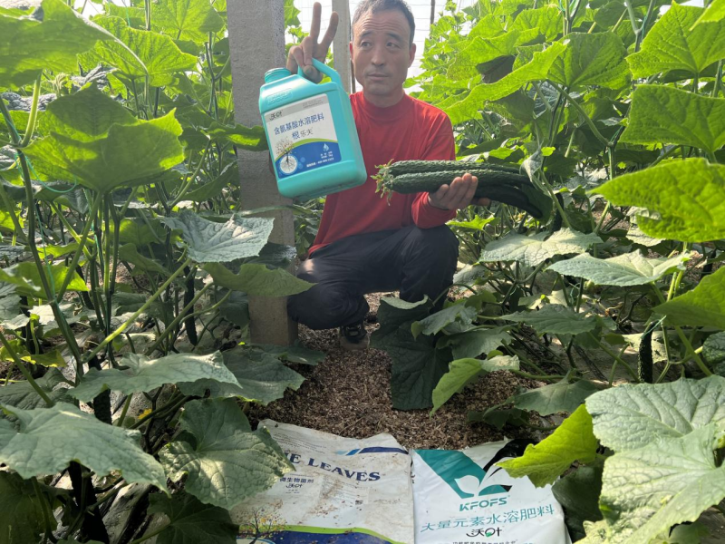 種植蔬菜用什么肥料最好？兩個解決，兩個方案