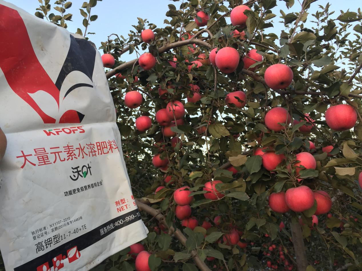水溶肥哪家好？李大哥告訴你