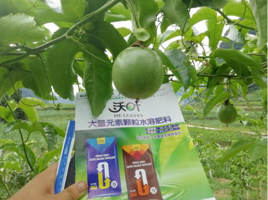顆粒水溶肥品牌，跟著這樣選！