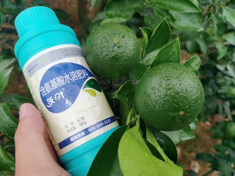 解密植物對(duì)氨基酸的吸收原理，夫沃施掌握氨基酸水溶肥核心科技