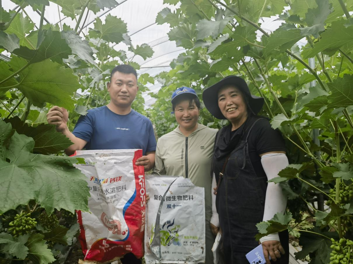 葡萄采收后施什么肥好？-用戶見(jiàn)證.png