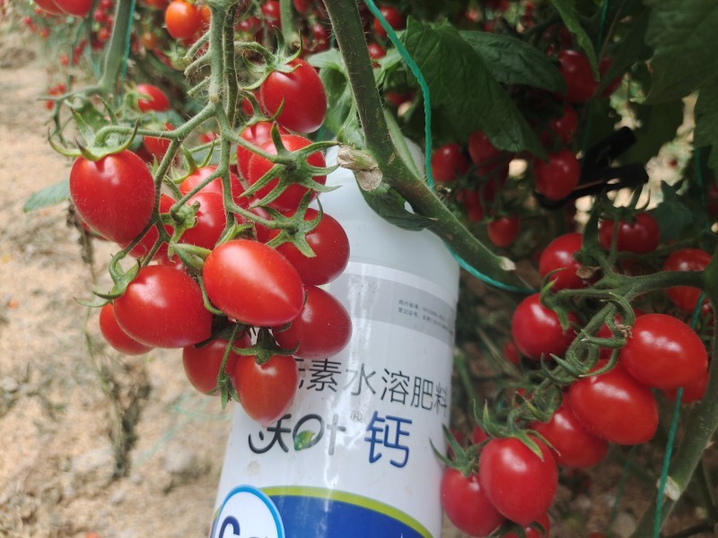 水溶肥挑選技巧掌握了，種啥都中