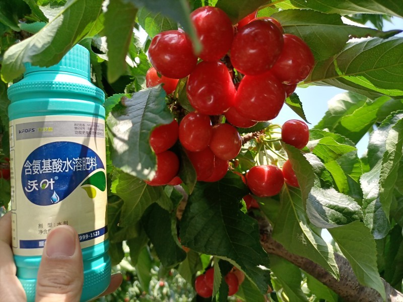 葉面肥什么時(shí)候用，你知道嗎？