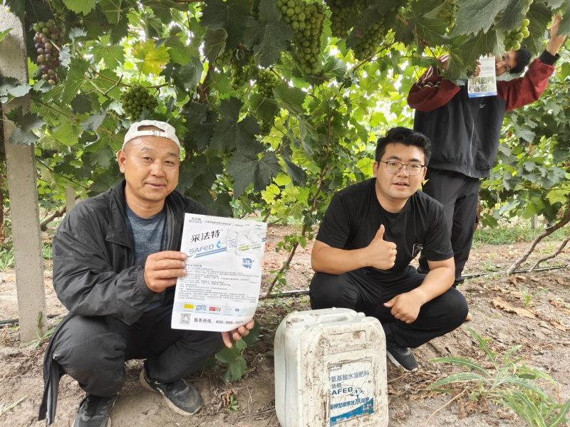 氨基酸肥料的作用你了解多少？