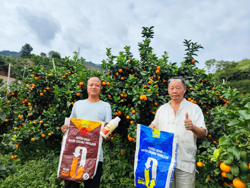 土壤板結到底能不能解決？