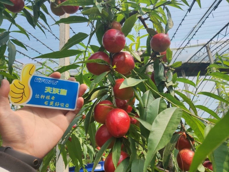 微生物菌劑的作用，你真的了解嗎？
