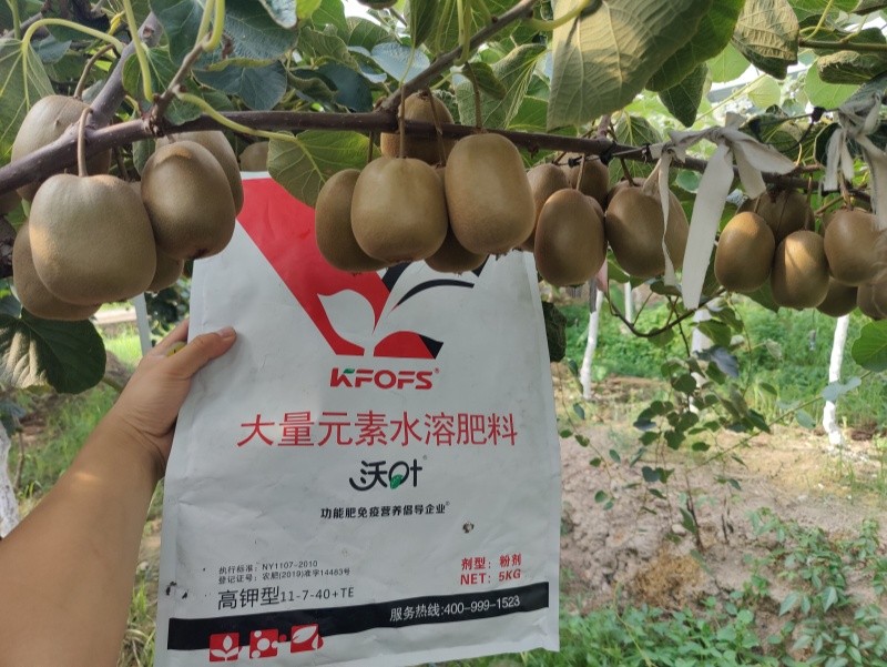 獼猴桃施肥用什么肥料？