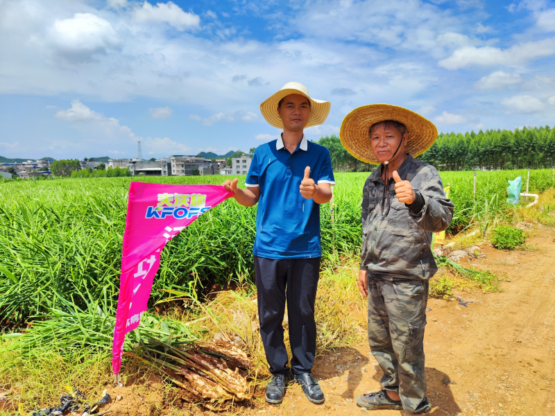 生根劑不能錯(cuò)過的3個(gè)時(shí)期，你知道嗎？