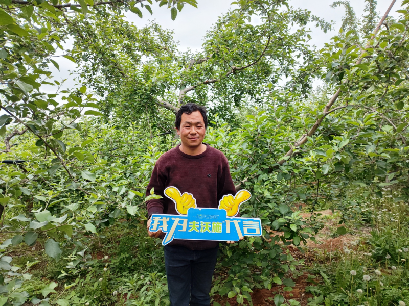 大量元素水溶肥怎么用效果好？