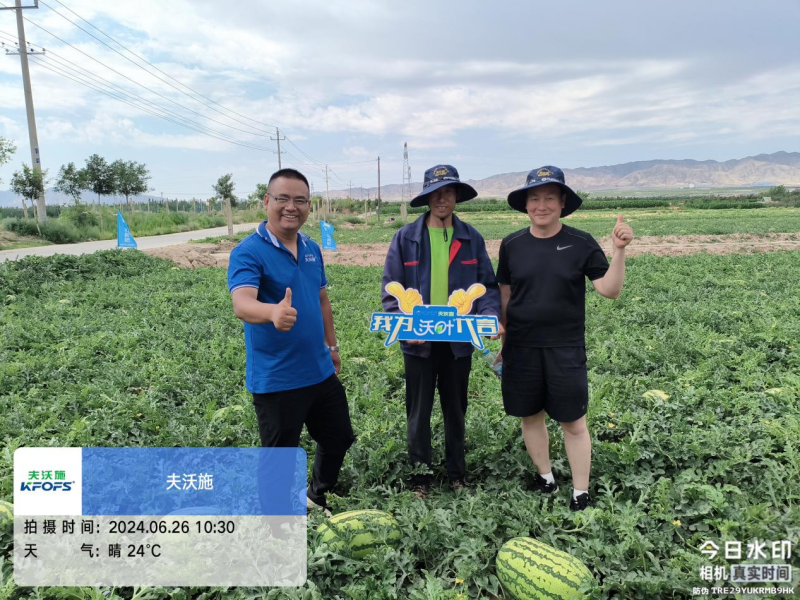 西瓜藥害怎么辦？水溶肥調(diào)理解決