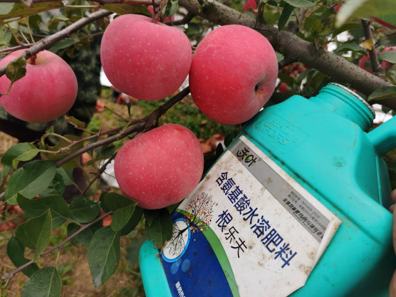 生根劑哪個(gè)牌子好？